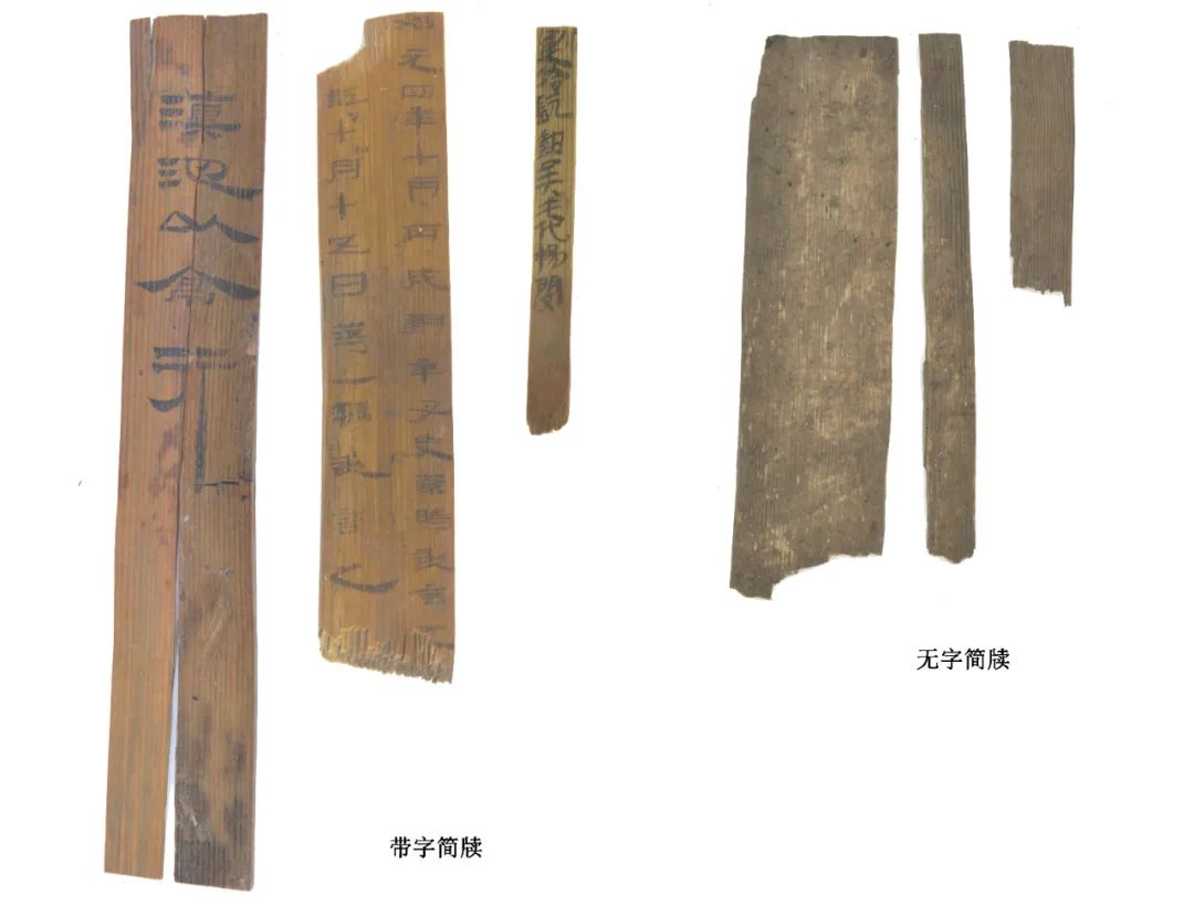 2022年度全国十大考古新发现初评结果揭晓！22个项目入围终评！