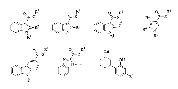 关于发布《非药用类麻醉药品和精神药品目录》的公告
