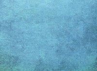 可修复废品发生的生产成本与不可修复废品发生的生产成本一样都属于废品损失，均应计算生产成本。（   ）