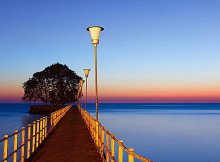 甲省乙市政府发布通知，对直接介绍外地企业到本市投资的单位和个人按照投资项目实际到位资金金额的千分之一奖励。经张某引荐，某外地企业到该市投资，但市政府拒绝支付5万元的奖励金。下列选项正确的有（      ）。