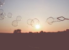 根据宪法和法律的规定，下列关于2019年我国第九次特赦的说法，哪些选项是正确的（        ）？