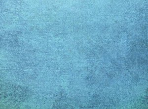 对于拟首次公开发行股票并在上交所上市的公司，下列属于公司及其保荐人和律师主张多人共同拥有公司控制权须符合的条件是（         ）。