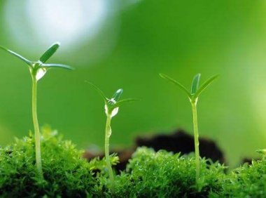 下列各项关于财务报表列报的表述中,正确的有(  )。