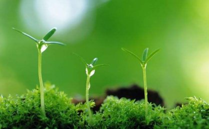 甲(女)乙(男)夫妻共有一套房,登记在甲女名下,后夫妻感情破裂,甲女与丙男伪造结婚证,冒充夫妻,将房屋出卖给丁,并告知丁该房为夫妻共有,并向丁办理了过户手续。下列说法正确的有( )。