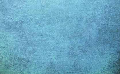 按中医五味理论，具有苦能清泄的中药是（  ）。