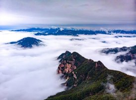 某团队专家声明，明天他绝不会和弄虚作假的人一起上台领奖。他在行使哪种权力？（         ）