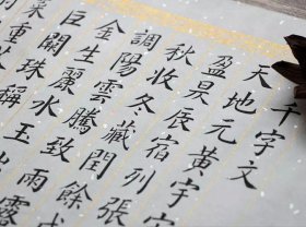 甲公司生产产品所需某种材料需求不稳定，为保障产品生产的原料供应，需要设置保险储备，确定合理保险储备量的判断依据是（　　）。