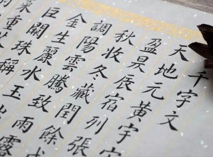 根据相关规定，下列关于深交所主板上市公司董事会专门委员会的说法中，错误的是（           ）。