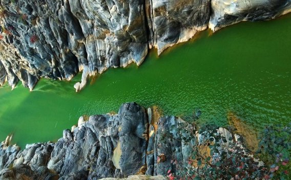 下列关于城镇土地使用税征收方法的表述中，符合税法规定的是（）。