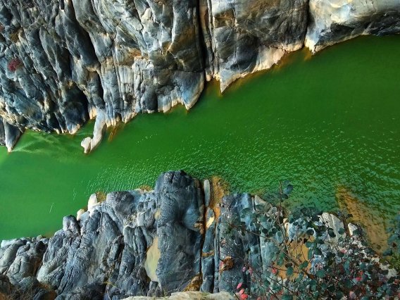 下列关于资产评估委托合同的说法中正确的是(     )。