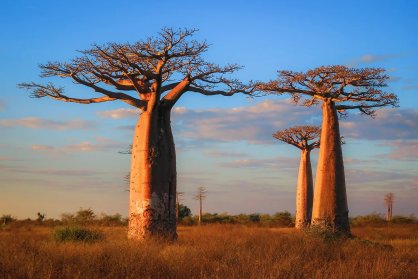 某女35岁，因家庭纠纷，情志不畅导致肝气郁结，影响脾胃运化功能，其疾病传变是（  ）。