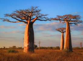 关于风险应对措施，以下哪个说法是正确的？（   ）。