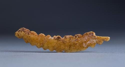 2020年度全国十大考古新发现介绍