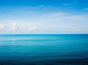 一位团队成员通知项目经理有一个问题可能会破坏项目。项目经理将该问题添加到问题日志中，并要求团队找到解决方案。 项目经理下一步应该怎么做?