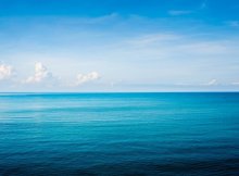 2018年12月，胜利房地产开发公司为开发东方家园小区，向建设银行贷款2000万，约定两年后清偿。全友公司对此贷款提供连带责任担保。2019年5月，胜利房地产公司开发的楼盘销售不利导致资金链断裂，不能清偿到期债务，被法院受理破产。2个月后，全友公司业务不景气也被法院受理破产，下列说法正确的有（     ）。