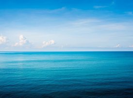 项目进度计划中所安排的应急储备,通常应该随着项目的进展而逐渐( )。