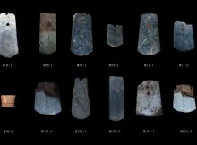 甲（女）乙（男）夫妻共有一套房，登记在甲女名下，后夫妻感情破裂，甲女与丙男伪造结婚证，冒充夫妻，将房屋出卖给丁，并告知丁该房为夫妻共有，并向丁办理了过户手续。下列说法正确的有（     ）。