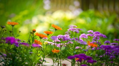 可渗透甲板，用于角化增厚的抗真菌药是（      ）。