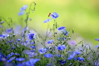 根据健康中国战略，推进健康中国建设主要遵循的原则不包括（   ）。