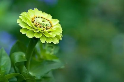 某女35岁，因家庭纠纷，情志不畅导致肝气郁结，影响脾胃运化功能，其疾病传变是（  ）。