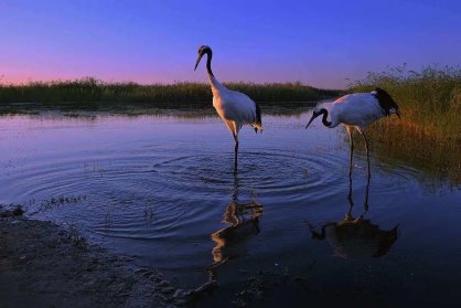 阿片类药物分为强阿片类和弱阿片类,下列属于弱阿片类的药物是( )。