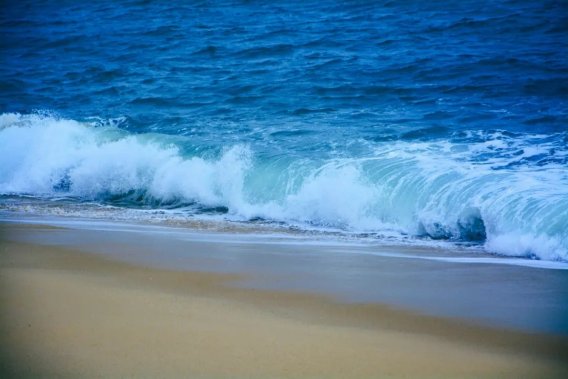 经过概率和影响评估,那些目前发生概率较低、影响较小的风险应该如何处理?(   )