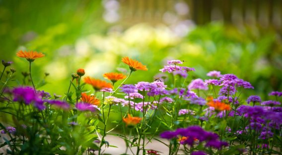 控制图在均值线的一侧有7个连续的数据点，这时应该怎样处理？（    ）