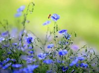 某股份有限公司股本总额为5亿元（面值1元），资本公积（股本溢价）为1600万元，盈余公积为5000万元，经股东大会批准决定回购公司股票2000万股，每股回购价格为2元。不考虑其他因素，该公司注销股票时记入“盈余公积”科目借方的金额应为（    ）元。