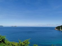 安云公司是由蓝月公司和张三、李四共同出资设立的有限公司，蓝月公司派赵祥和王琳担任安云公司的董事。在安云公司运营期间，赵祥以王琳在安云公司决策时总不为蓝月公司的利益着想为由，向蓝月公司报告。蓝月公司未经安云公司其他董事同意，将王琳召回，派驻胡丽作为安云公司的董事，下列说法正确的是（       ）。