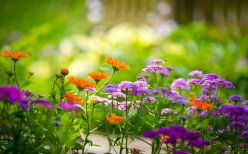 在执行集团公司内部控制审计时，对于内部控制可能存在重大缺陷的业务流程，下列做法中，正确的是（）。