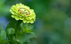 甲公司采用随机模式确定最佳现金持有量，最优现金返回线水平为7000元，现金存量下限为2000元。公司财务人员的下列做法中，正确的有（　　）。