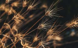 在接受委托前,后任注册会计师应当征得被审计单位的同意后与前任注册会计师进行沟通。下列有关说法中,错误的是()。