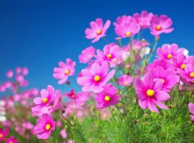 在编制项目预算时，可以把各时点的累计成本基准确定为略高于预计的累计资金支出数，以便（     ）。