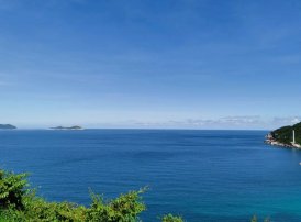 项目经理通常有权决定项目预算中的各种类型的开支，除了（    ）。