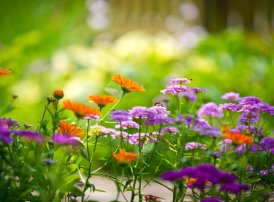 你正在和质量保证部门人员一起协作，增加相关方对项目将会达到质量要求的信心。这一管理过程将会得到以下哪项输出？（    ）