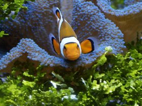 甲公司盈利稳定，有多余现金，拟进行股票回购用于将来奖励本公司职工。在其他条件不变的情况下，股票回购产生的影响有（　　）。