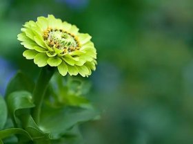 下列资产中,不需要计提折旧的有  (    ) 。