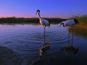 然达公司是合成橡胶、合成树脂等石化类产业的龙头企业。2017年，该公司启动新的战略变革，将公司在原产业领域积累紧的高分子技术应用到光化学和有机合成化学领域，使业务内容扩大到半导体制造材料、显示器材料等领域，同时进行了广泛的组织结构调整。此次战略变革得到公司上下一致认同和支持。该公司处理企业战略稳定性与文化适应性的关系时应（  ）。