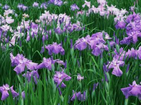 个人取得的下列利息收入中，应缴纳个人所得税的是（）。