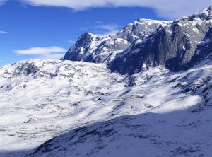 首次公开发行股票网下配售时,发行人和主承销商可以向其配售股票的投资者为( )。