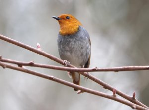 根据《证券发行上市保荐业务管理办法》，下列关于保荐工作底稿的说法中，错误的是（       ）。