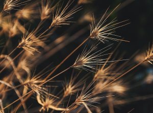 下列关于信贷资产证券化的说法中，错误的是（           ）。