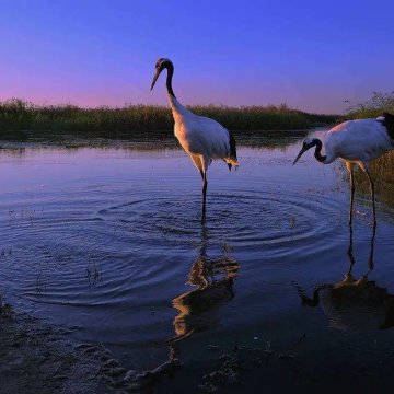 香港证券及期货从业资格考试卷一温习手册 繁体