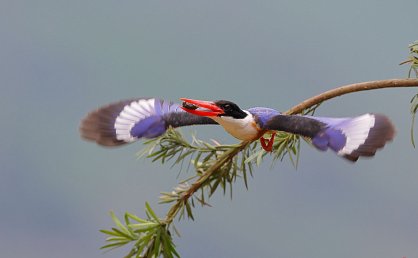 中华人民共和国海关对保税物流中心（B型）的暂行管理办法