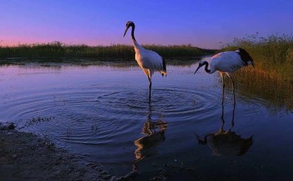 某贩卖毒品案件审理时，法院进行了以下活动：1、宣布庭前会议中对证据合法性审查的情况；2、宣读起诉书；3、控方证人出庭作证；4、被告人对公诉方出示的毒品进行辨认并发表意见；5、讯问被告人；6、辩方证人出庭作证。下列对上述活动先后顺序的排列，正确的是（     ）。