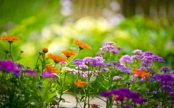 为应对管理层凌驾于控制之上的风险，下列各项审计程序中，注册会计师应当实施的有（）。