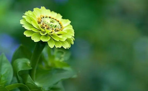 下列有关注册会计师作出区间估计以评价管理层的点估计的说法中,错误的是()。