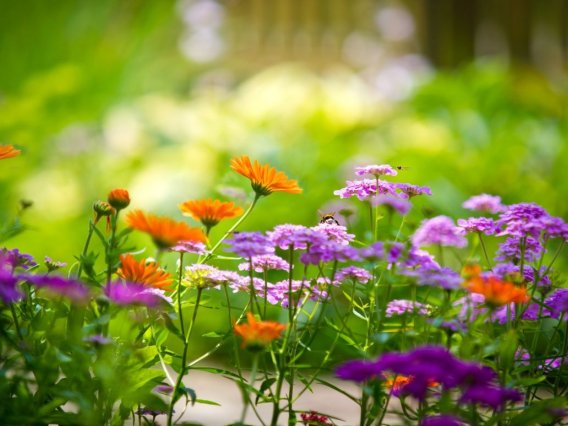 下列关于资产评估委托合同的说法中正确的是(     )。