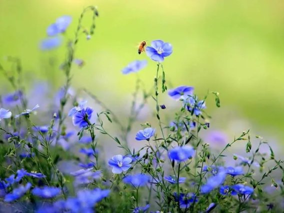 我国资产评估行业的第一项资产评估准则是(    )。