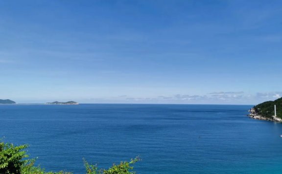 The board of directors of a growing asset management company has recommended that the firm establish an ERM framework. Which of the following represents a key benefit that the firm will likely attain after establishing an ERM framework?